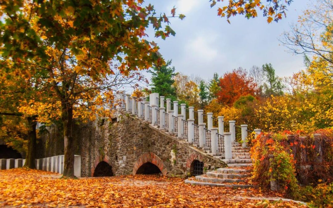 The Art of Minimalist Travel: Packing Light for Your Ljubljana Getaway
